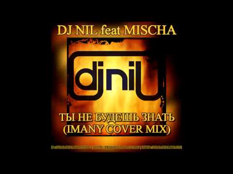 Dj Nil feat Mischa   Ты не будешь знать ( Imany cover mix )