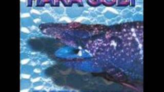 Hara Gobi - Polarlander