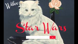 Wilco Star Wars 16 July 2015