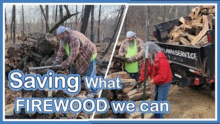 Can we REALLY Salvage this Firewood after it sat for so long