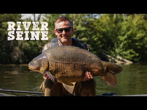 French River Carp Fishing 2022 | Darrell Peck | Extract