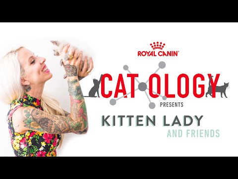 Kitten Lady + Friends: The Science of Cat Behavior!