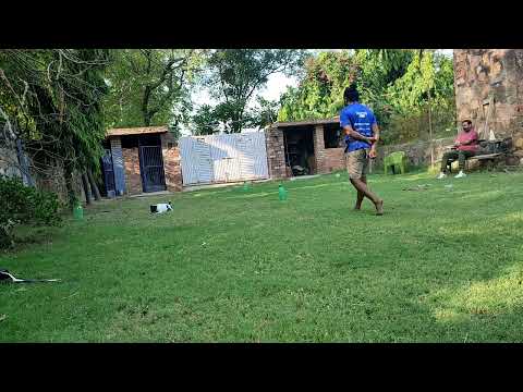 search exercise in ground with bitch in heat + bark &hold on passive decoy in verbal directionals