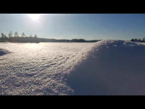 Suruntuoja - Talvenranta
