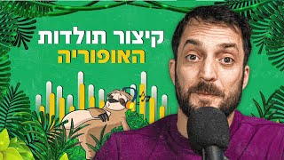 פרק #95 - קיצור תולדות האופוריה