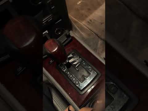 Nalu Vega-My New SUV{2026}