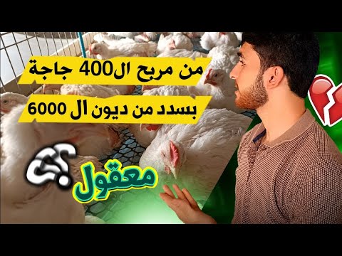 , title : 'أهم نصائح لأي شب حابب يربي جاج / تربية الدجاج اللاحم'