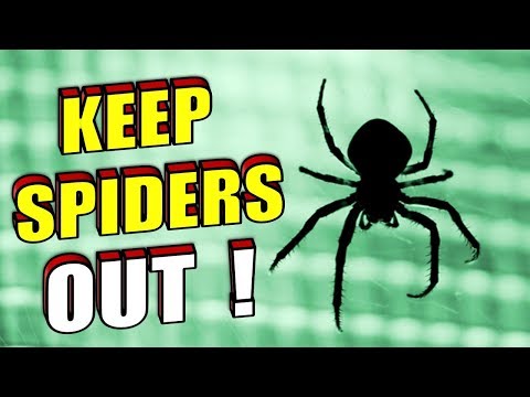 YouTube video about: How to keep spiders away from bed?