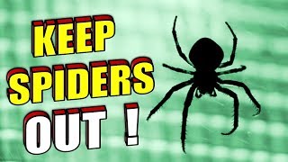 How To Naturally Stop Spiders From Entering Your Home / Room