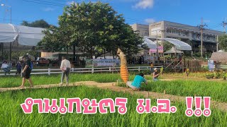 preview picture of video 'สารคดี แนะนำ งานเกษตร ม.สงขลานครินทร์ 2018 ( Travel With Me Free WiFi )'