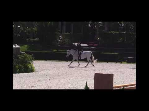 De perfecte hunterronde: Scott Stewart met Catch Me