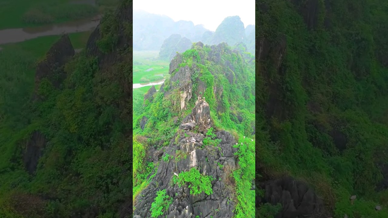 YouTube Short thumbnail