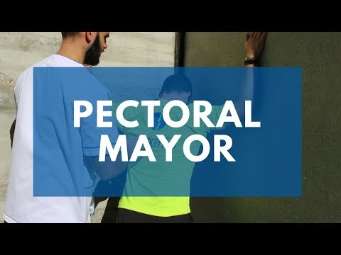 Estiramiento de pectoral mayor