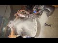 Mahakal Bhasma Aarti Mahakal Mahadev Bhasma Aarti Shorts Mahakaleshwar