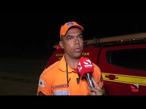 Animais soltos voltam a colocar motoristas em risco na MG-329 entre Caratinga e Bom Jesus do Galho