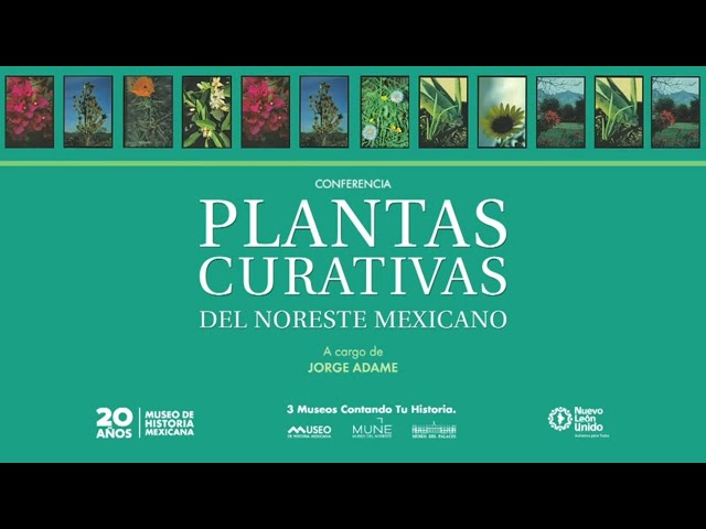 Vídeo relacionado con Plantas medicinales del noreste mexicano (Biblioteca Homero Adame: Investigación)