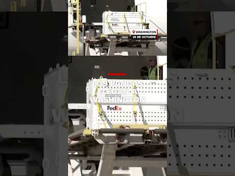 Dos pandas gigantes de China llegan a EE.UU.