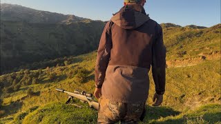 Recent Bow/Rifle Hunts (Goats,Deer,Pigs,Wild Sheep)