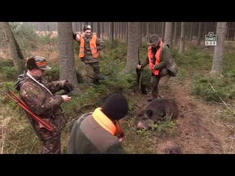 Darz Bór zapowiedź odcinka 127