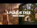 Видеообзор A Plague Tale: Innocence от GSTV