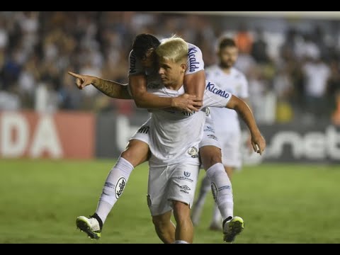 Santos 4 X 1 Botafogo: uma goleada para alegrar