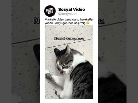 Markete giden genç garip hareketler yapan kediyi görünce şaşırmış 😁