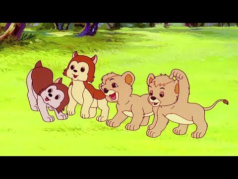 SIMBA LE ROI LION | Partie 12 | Épisode Complet | Français | Simba The King Lion