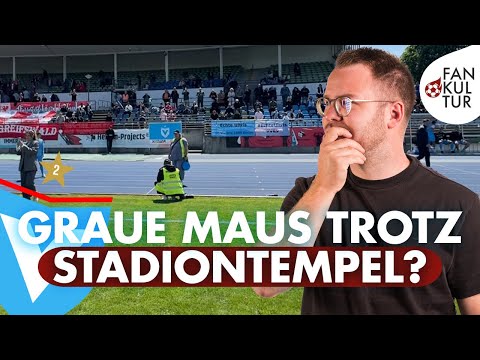Berlin's grey mouse despite the stadium temple? | A day as a fan of: Viktoria Berlin | Football s...