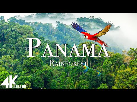 Panama Rainforest 4k - Relaxing Music Along With Beautiful Nature Videos (4K Video Ultra HD)