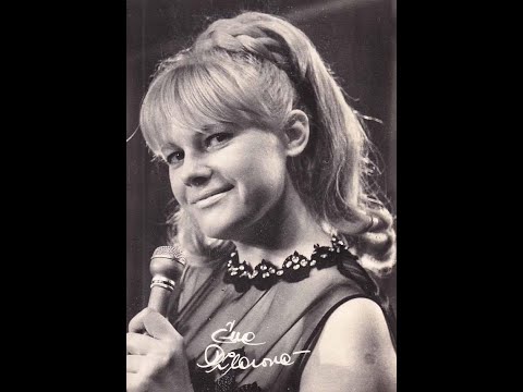 Tulipány z Amsterdamu - Eva Pilarová