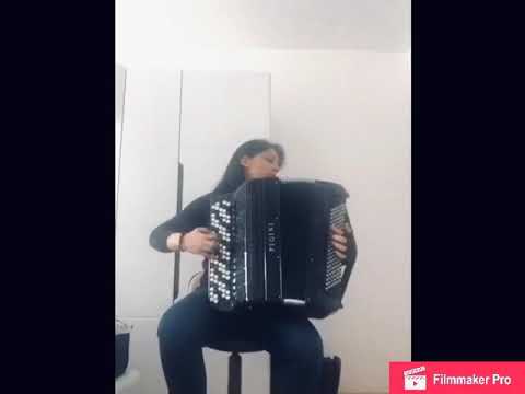 Anita Petrovic: Brahmsiana Rhapsody ( V. Semionov ) Pt.1