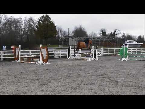 OBOS Quality 004 Diament de Semilly 5yo first school