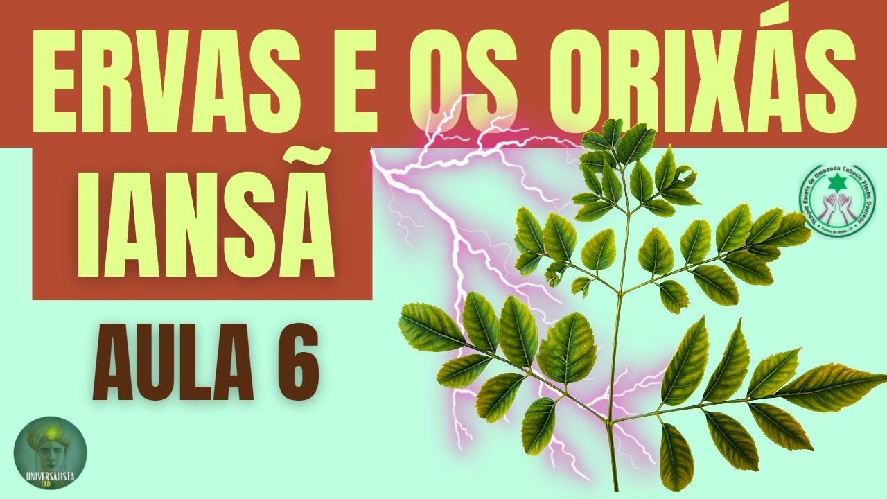 FOLHAS DE IANSÃ CURSO ERVAS E OS ORIXÁS.