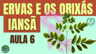 FOLHAS DE IANSÃ CURSO ERVAS E OS ORIXÁS.