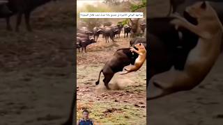 عندما يقرر الضحية أن يكتب نهاية الصياد #shorts