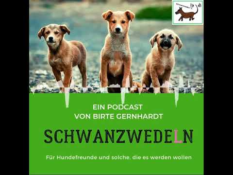 39 Bleibt gesund: Thema Hausapotheke - Schwanzwedeln