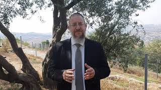 האם מותר להתרחץ בשבוע שחל בו תשעה באב? הרב ירון אשכנזי
