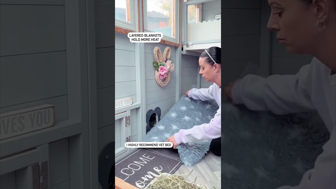 Getting Outdoor Rabbits Winter Ready |  Pet Safety | Bunny Winter Care | Pet Care | Cold Weather