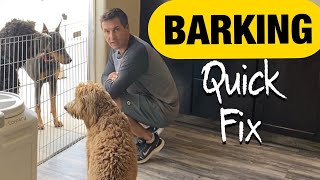 Quick and long lasting solutions to barking