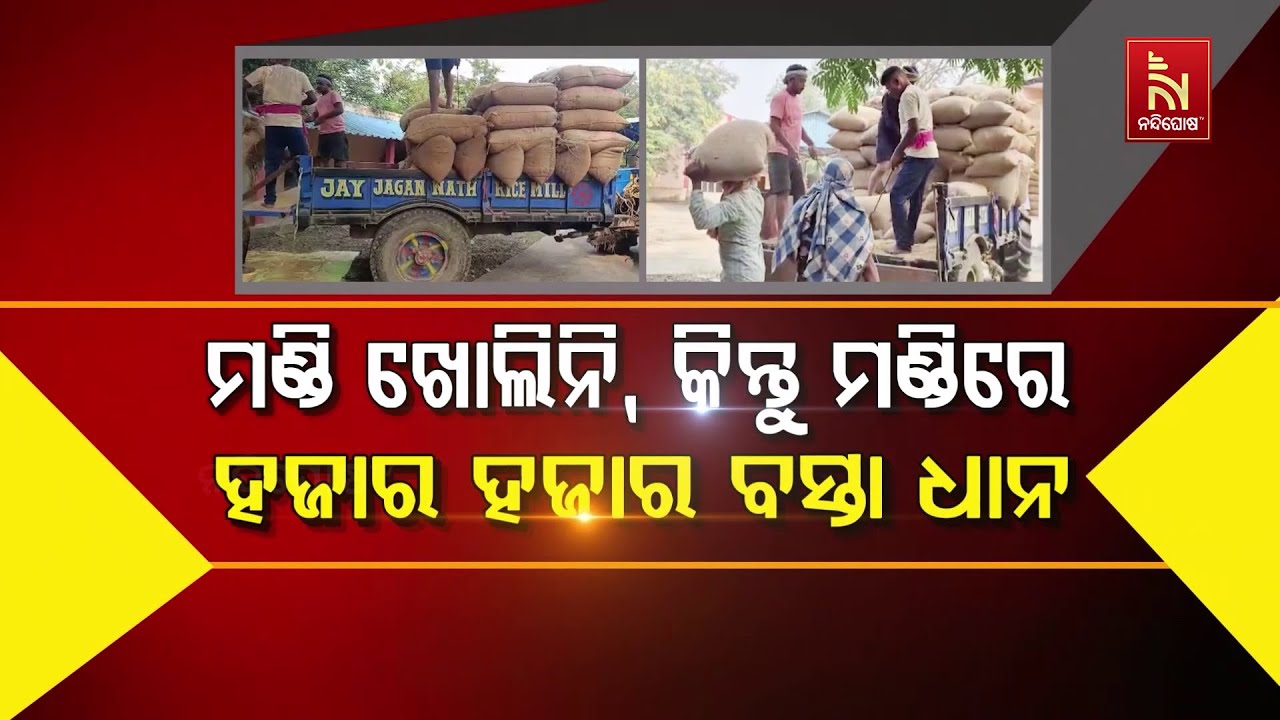 ମଣ୍ଡି ଖୋଲିନି, କିନ୍ତୁ ମଣ୍ଡିରେ ହଜାର ହଜାର ବସ୍ତା ଧାନ  | Nandigho