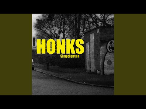 Lastbilar och granskog