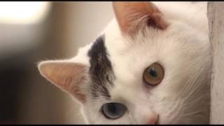 В летней повестке - ремонт домов и дорог