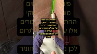 אל תמרחו רובה בפינות!! #הסדנהלעבודותגבס #מקלחת #אמבטיה #עיצובפנים