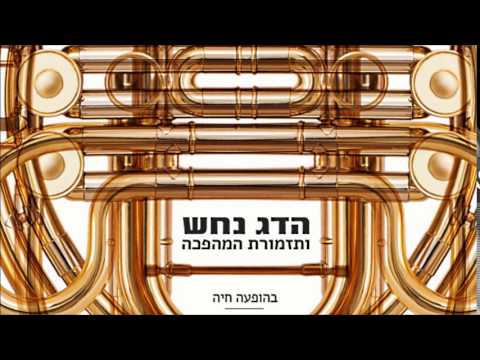 הדג נחש ותזמורת המהפכה  - מערבולות של חול