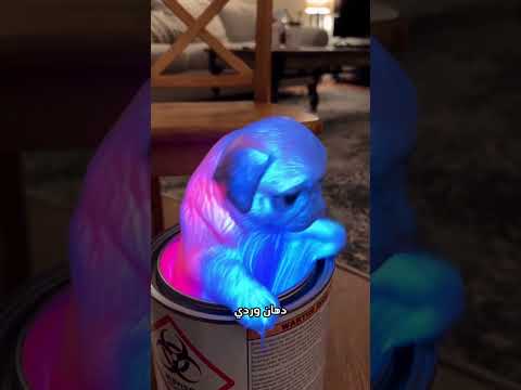 🐶 الكلاب دي بقت بتنور في الضلمة بسبب الدهان! 😂 #shorts