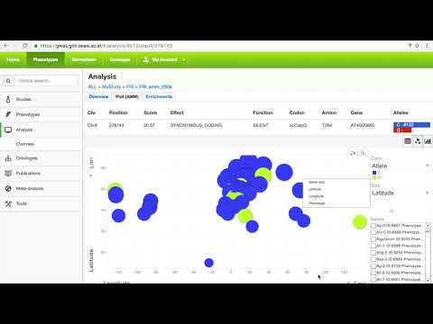 Gwa Login Login Information, Account|Loginask
