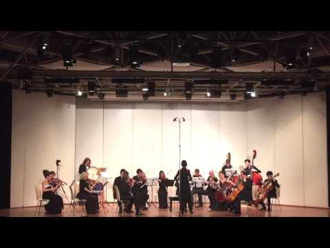 UKRAINIAN FANTASY by Taras Yashchenko (fragment) Oksana Lyniv & "Ukraina" orchestra Munich