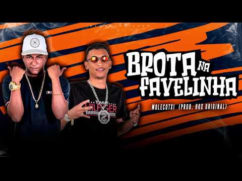 MOLECOTXI - BROTA NA FAVELINHA