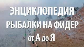 Фидерная удочка для новичков
