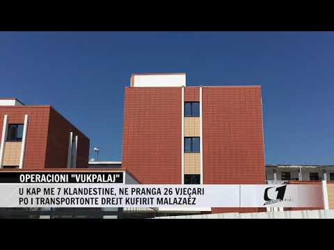 OPERACIONI VUKPALAJ, DY TE ARRESTUAR, USHTRUAN DHUNE NE FAMILJE